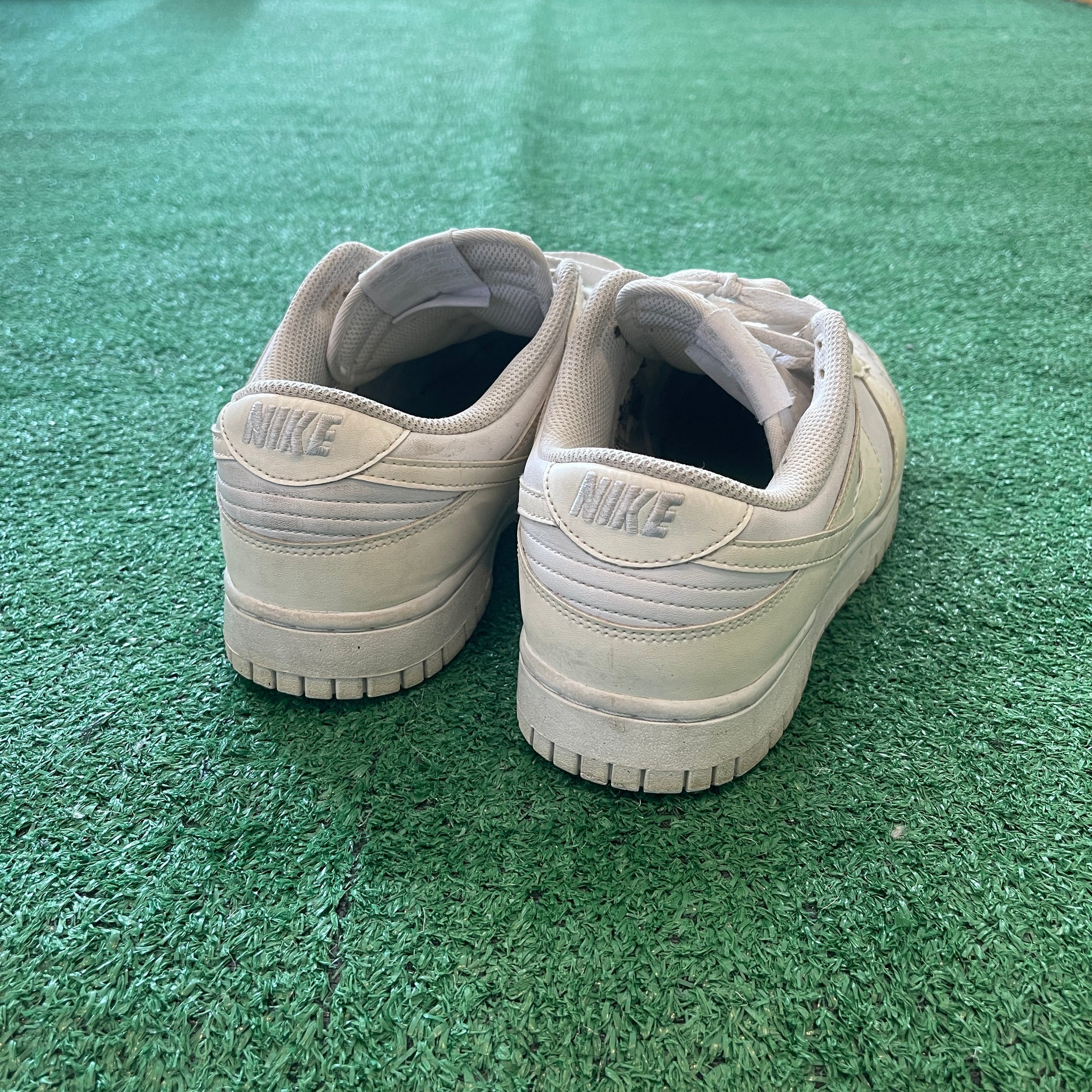 Nike Dunk Low Next Nature DD1873-101 (10W)