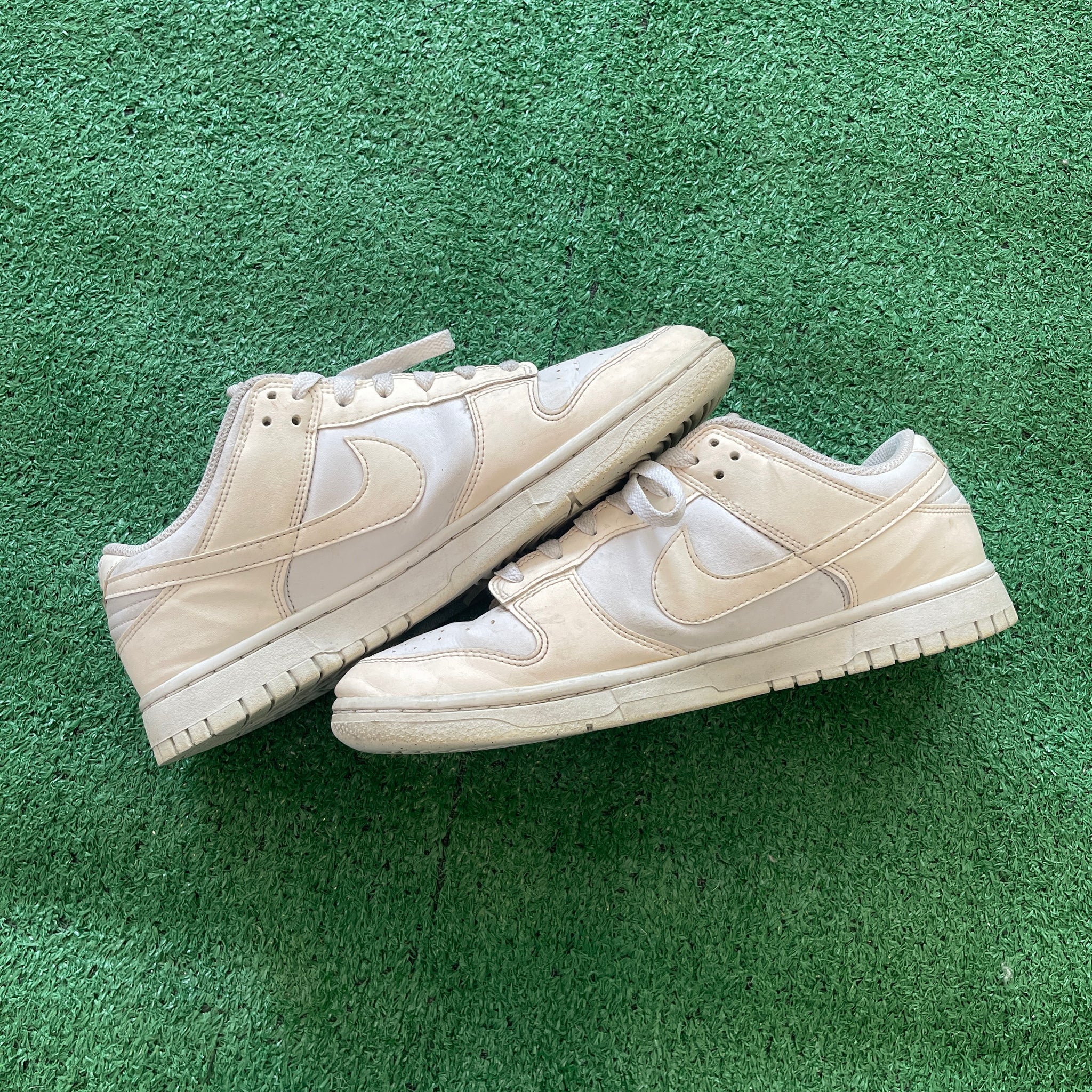 Nike Dunk Low Next Nature DD1873-101 (10W)