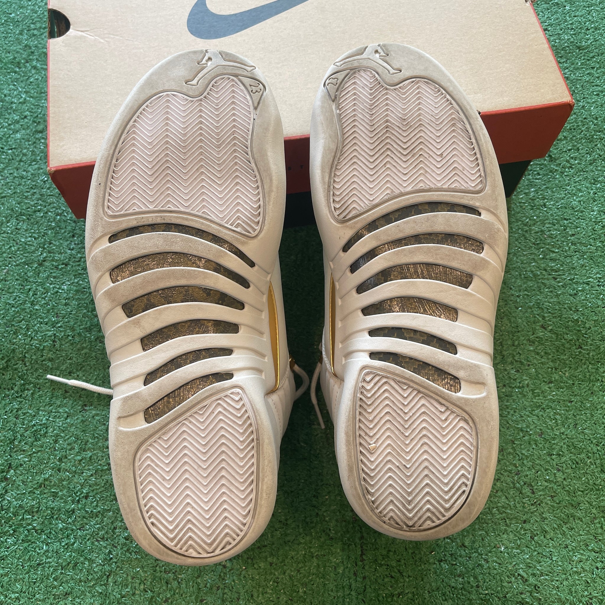 Jordan 12 Retro Phantom FD9101-007 (13W)