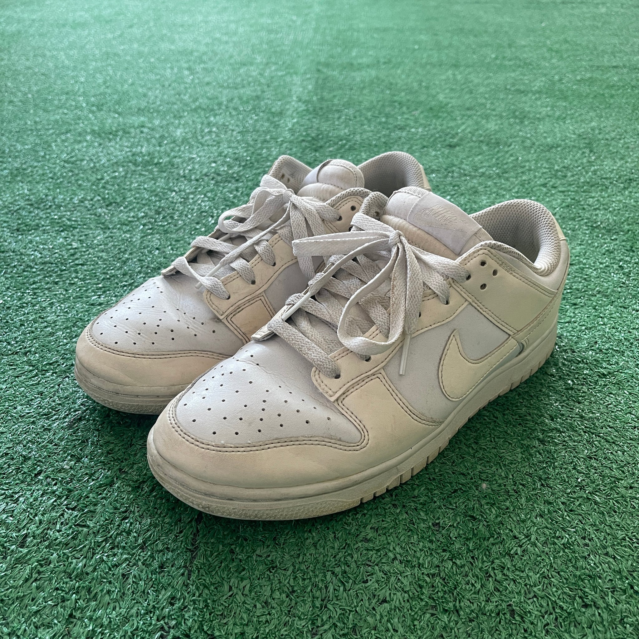 Nike Dunk Low Next Nature DD1873-101 (10W)