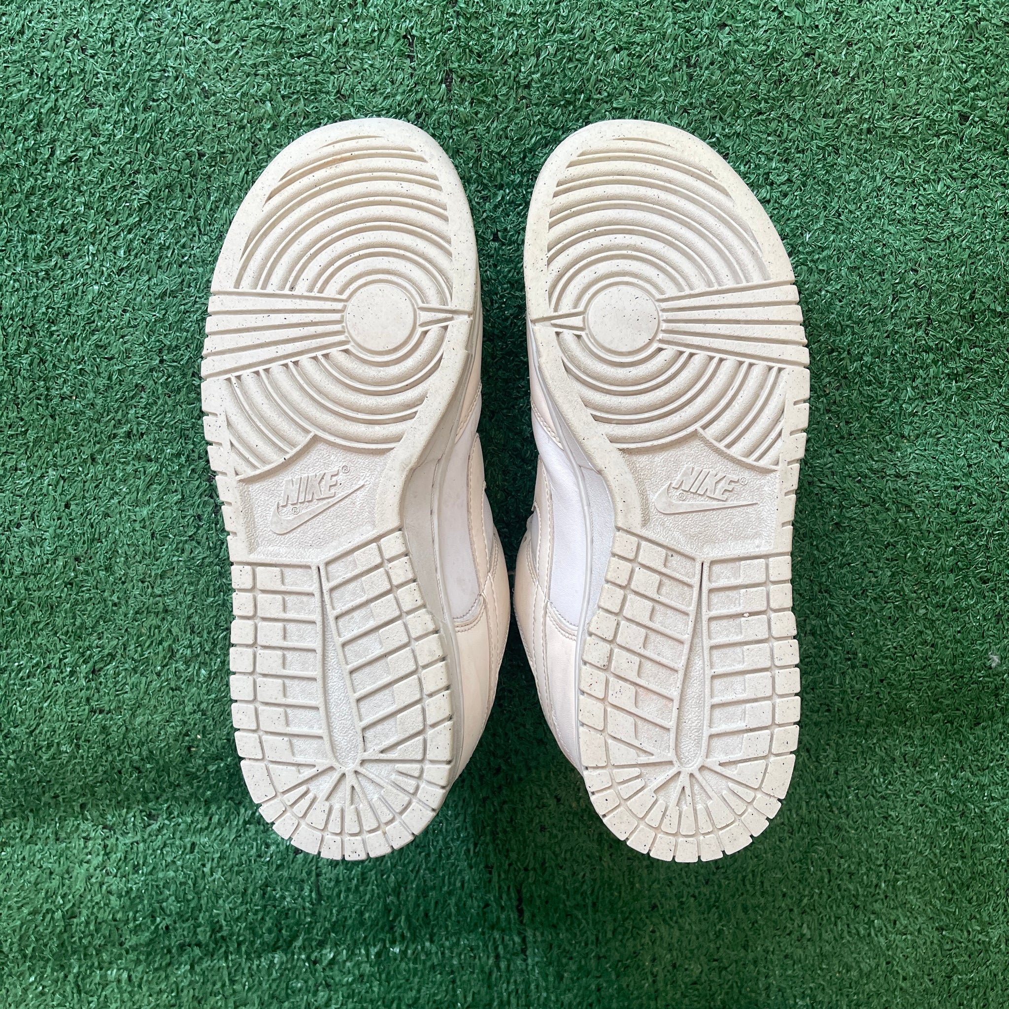 Nike Dunk Low Next Nature DD1873-101 (10W)