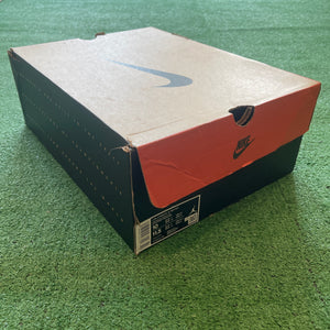 Jordan 12 Retro Phantom FD9101-007 (13W)